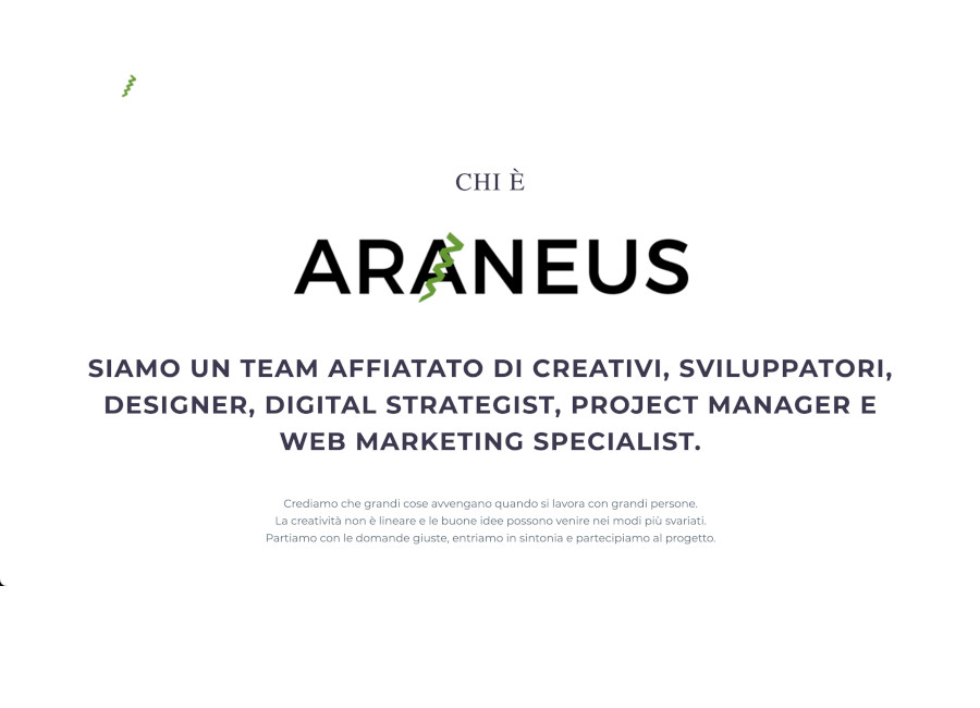 Araneus srl